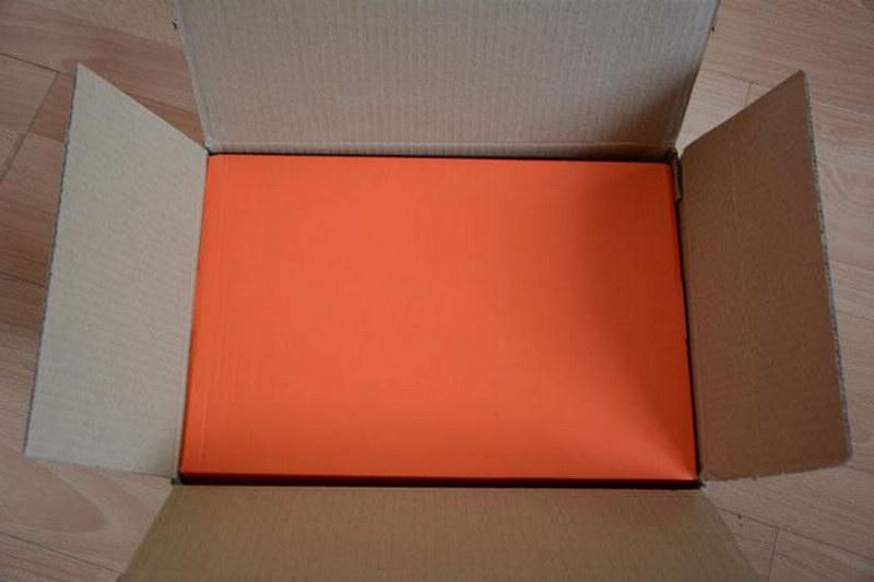 double box sneaker studio