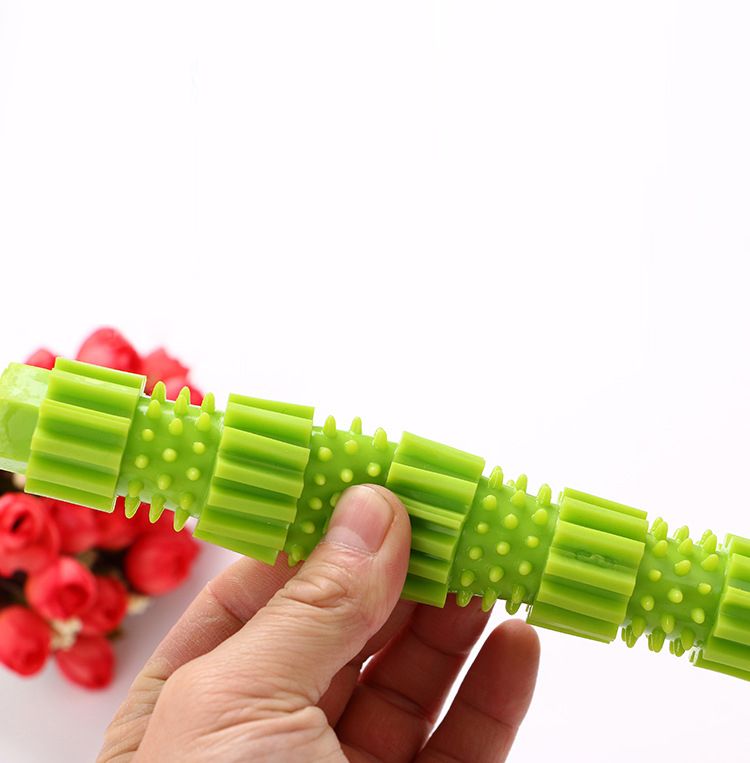 green rubber dog toy