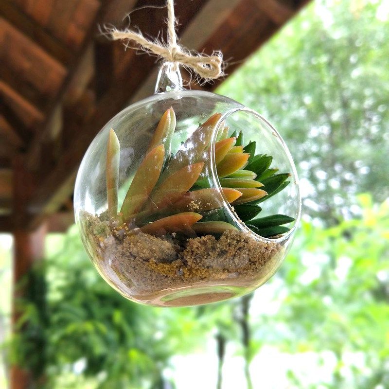Grosshandel Ball Globus Form Klar Hangende Glasvase Blume Pflanzen Terrarium Container Micro Landschaft Diy Hochzeit Geschenk Von Linmanflower 1 53 Auf De Dhgate Com Dhgate