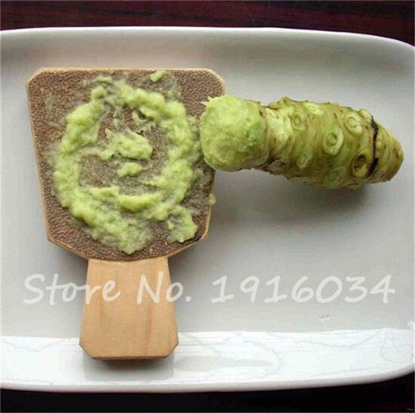 100pcs Wasabi Semillas de r/ábano picante japon/és de semillas Vegetable Seeds Bonsai planta de bricolaje plantas del jard/ín