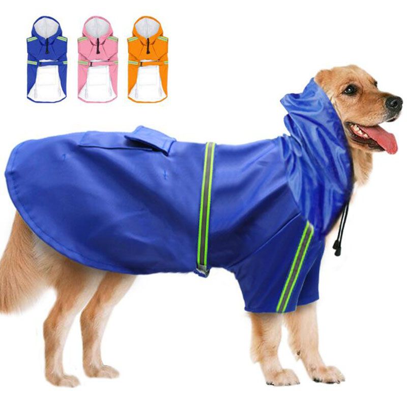 puppy apparel