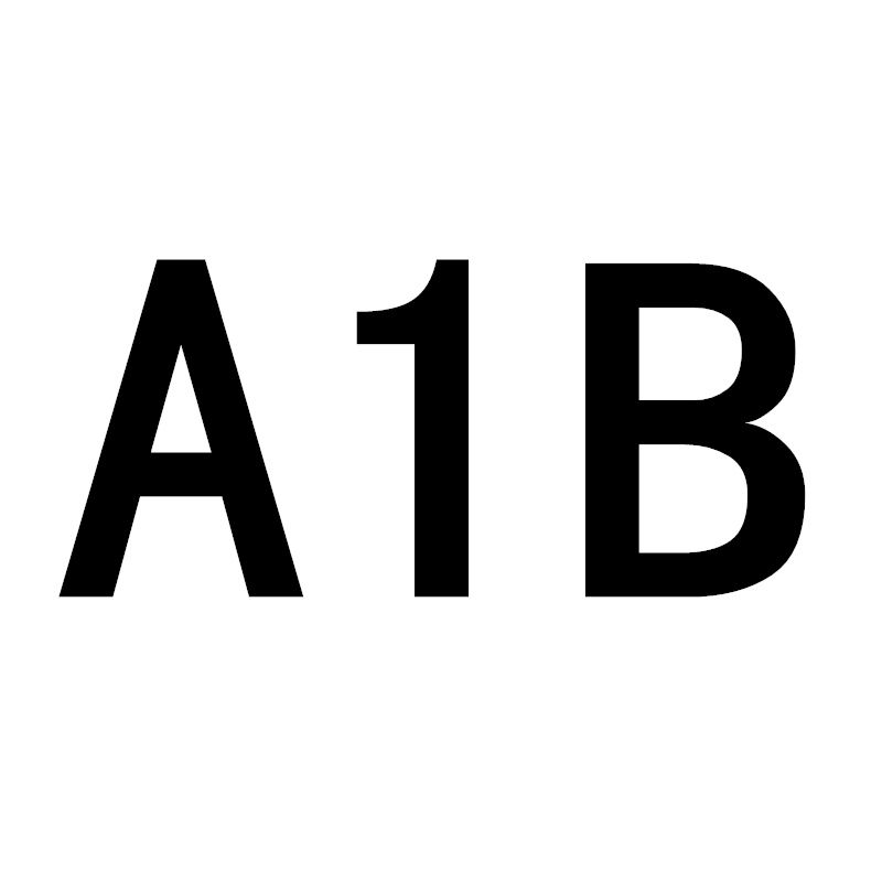 A1B / 50g.