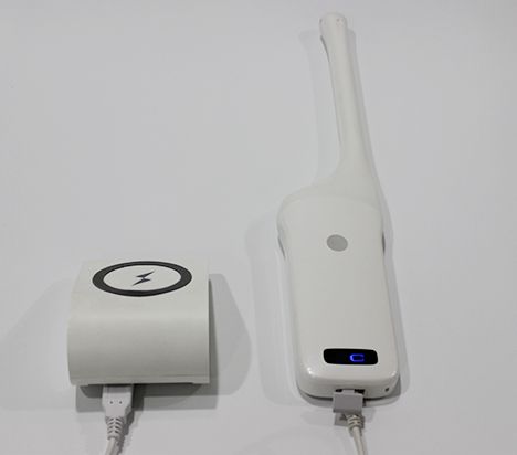 Transvaginal Wireless Mini