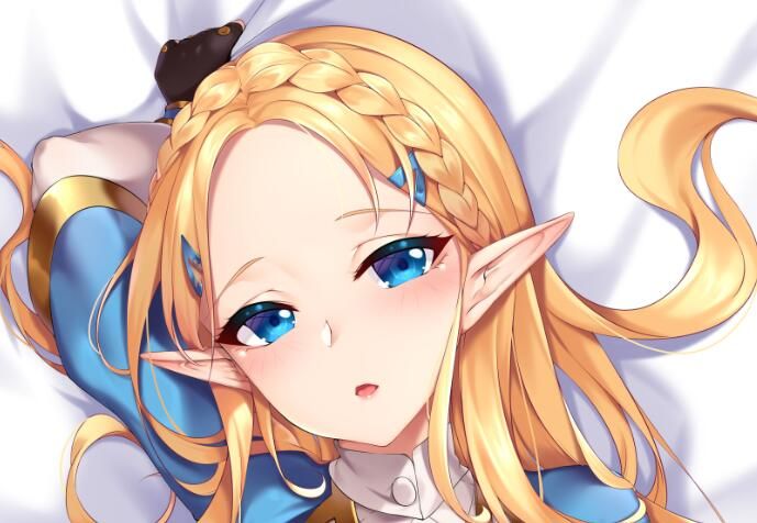 princess zelda dakimakura