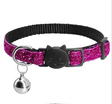 kitten cat collars