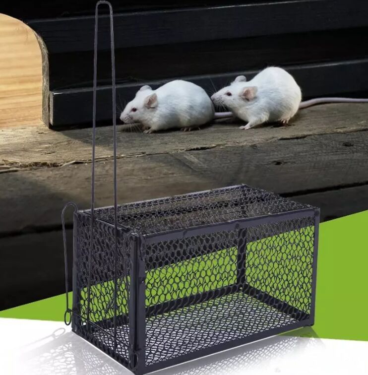metal rodent cage