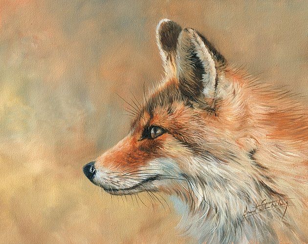 2020 Artwork Fox Portrait Unframed Modern Canvas Wall Art For Home And Office Decoration Oil Painting Animal Painatings Frame From Yjart8888 30 08 Dhgate Com