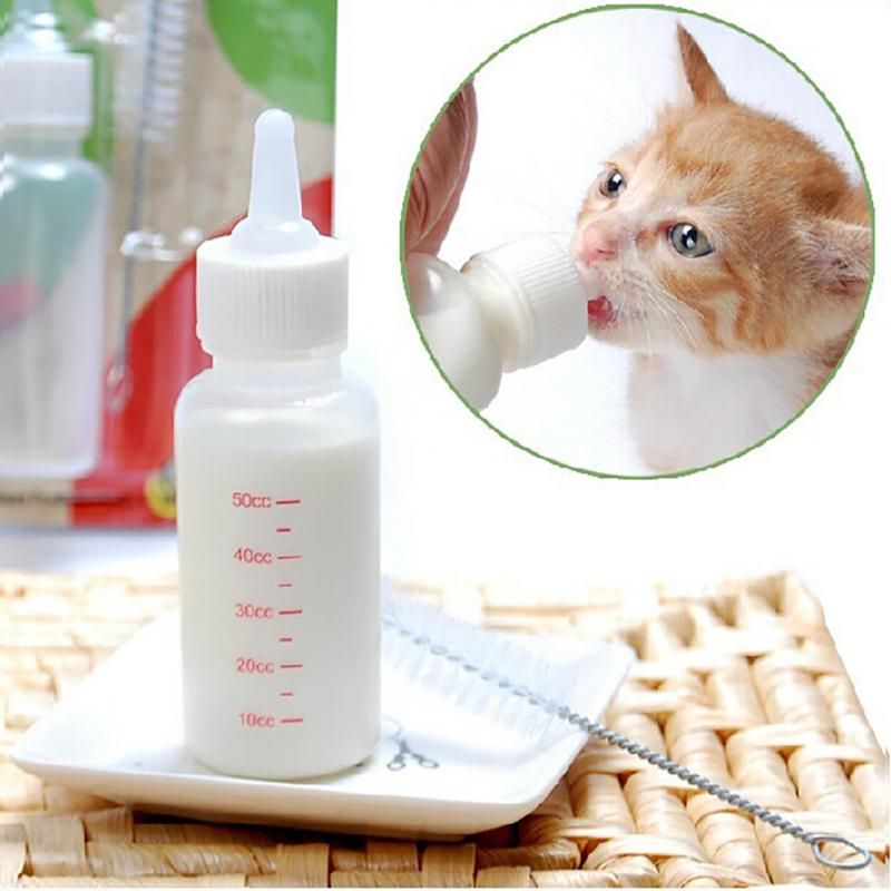 2020 Wholesale New Puppy Kitten Bottle 50ml Pet Nursing Feeding