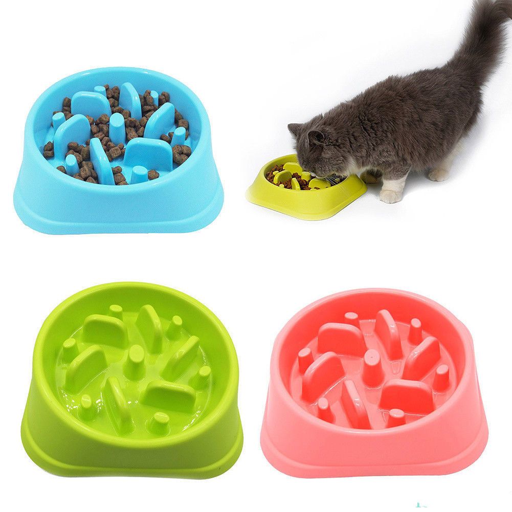 2020 Pet Dog Feeder Bowl Anti Choke Dog Bowl Puppy Cat Slow Feeder