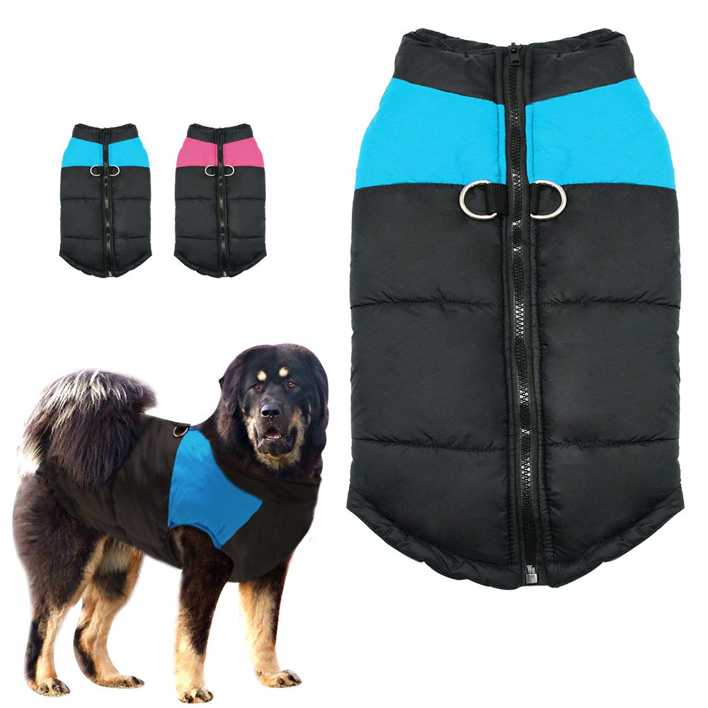 blue jackets dog jersey