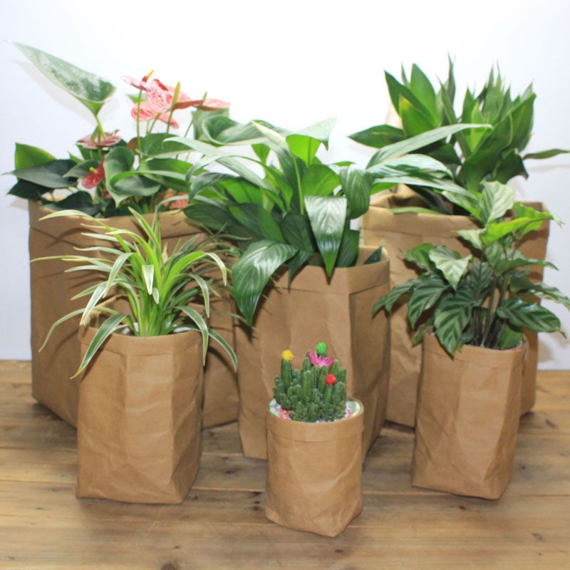 pot bolsas for plants
