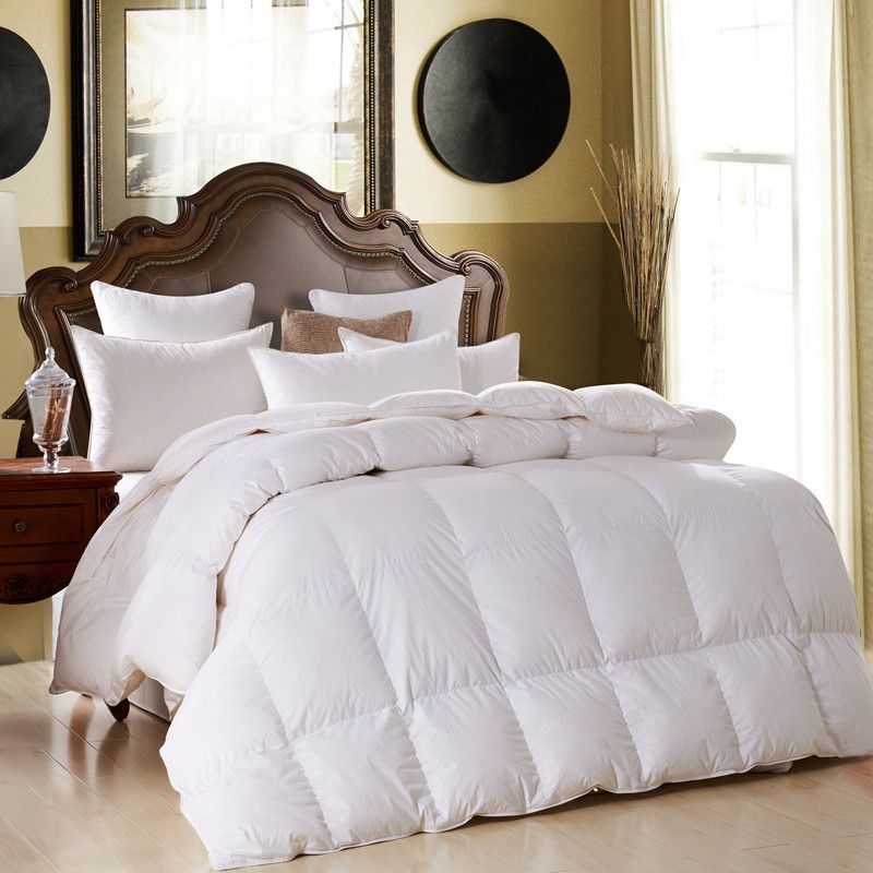 2020 100 White Down Single Double Warm Feather Core Winter Home