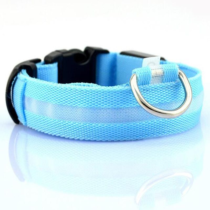 PetSafe LED Nylon Collar Night Safety Flashing Light Up Cat/Dog Collar