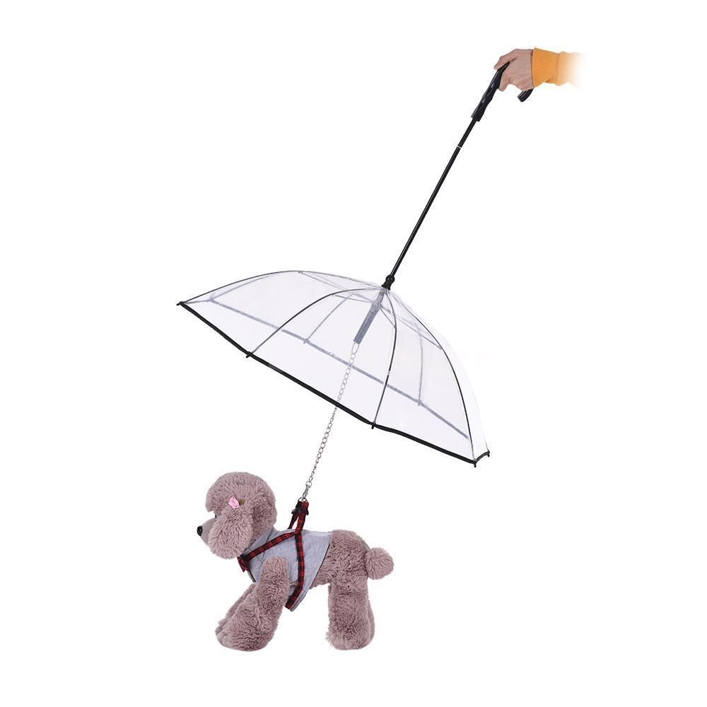 tabaco microscópico Groseramente Perro mascota transparente plegable perrito paraguas para perros pequeños  cachorros pequeño perro paraguas Rain Gear Dog