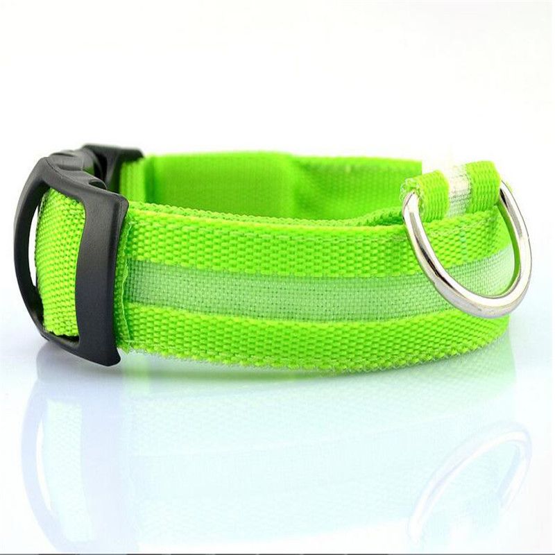 PetSafe LED Nylon Collar Night Safety Flashing Light Up Cat/Dog Collar