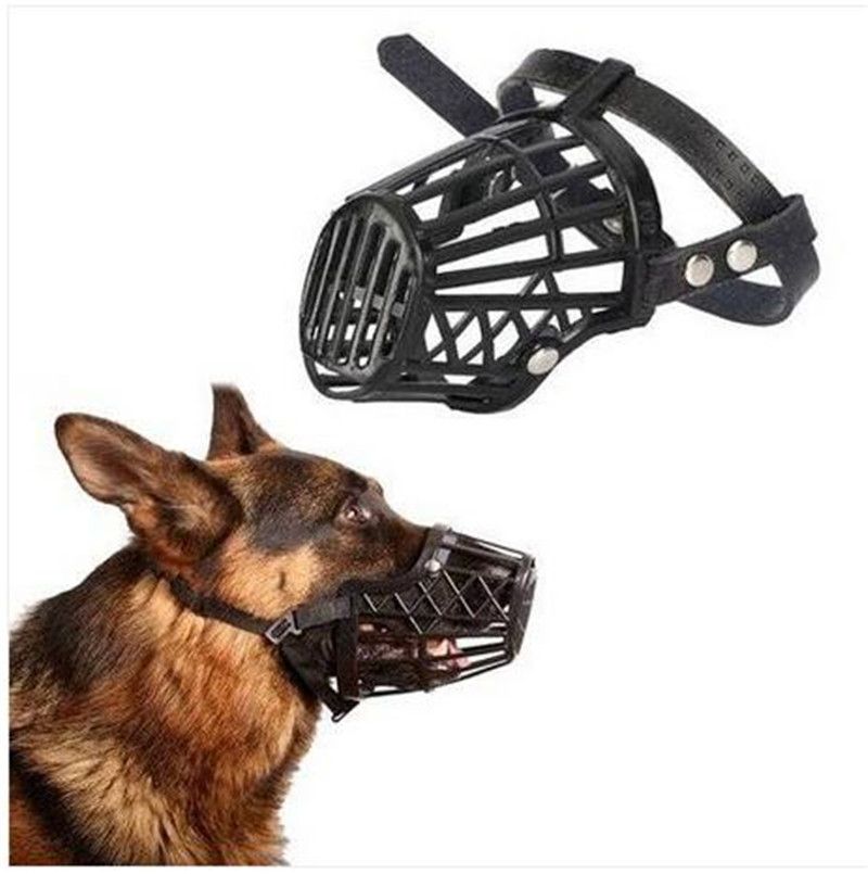 dexil dog collar