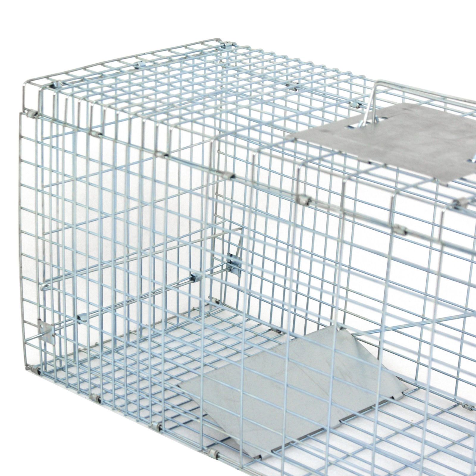 Humane Small Live Animal Control Steel Trap Cage 32/"x12.5/"x12/" Raccoon Skunk Cat