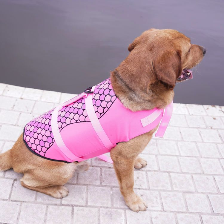 xs dog jacket