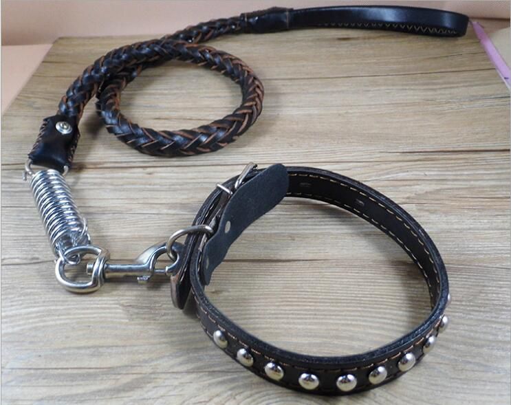leather lead and collar
