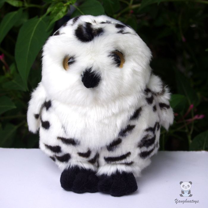 real stuffed owl
