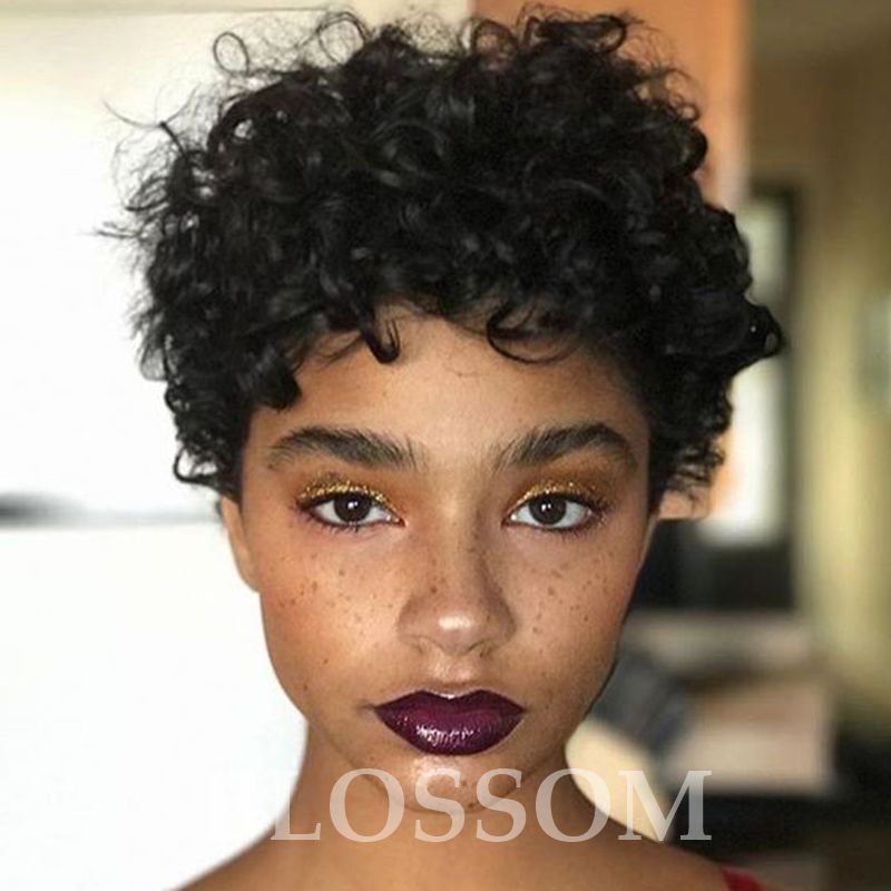 Human Hair Short Curly Wigs Short Curly Hair Wigs African American Black Curly Afro Curky Wigs for Black Women Human Hair Short Curly Wigs Short Curly Hair Wigs African American Black Curly Afro Curky Wigs for Black Women