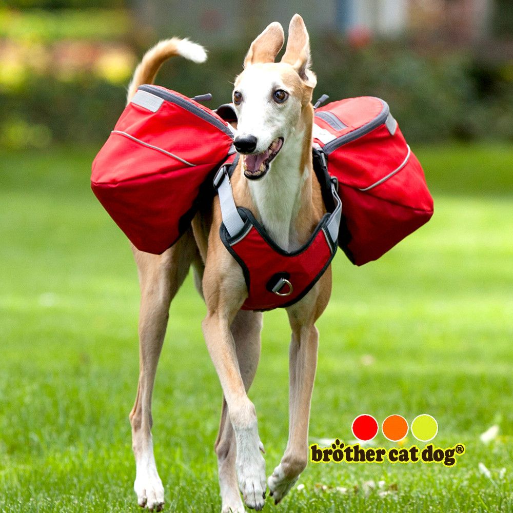 large dog harness