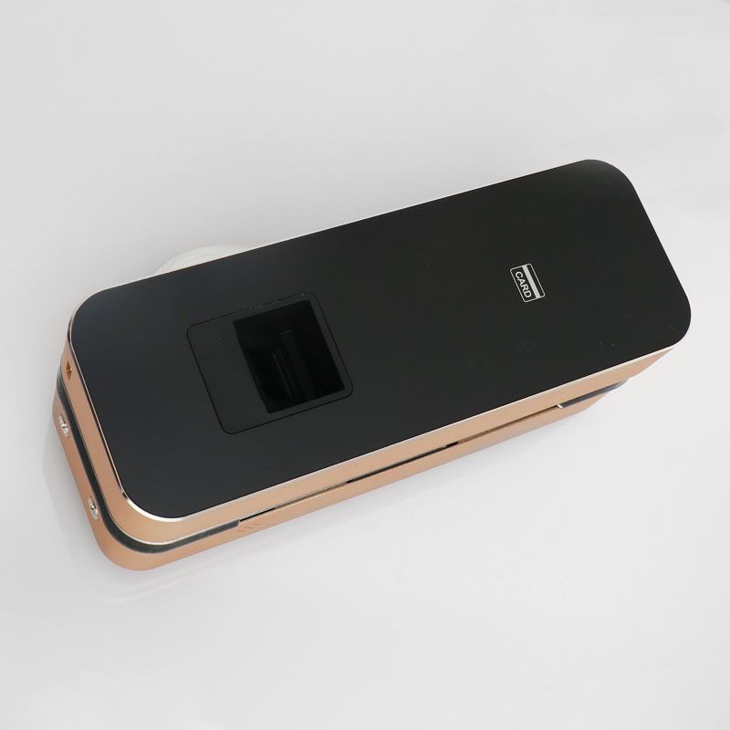2019 Double Single Glass Sliding Door Keyless Entry Fingerprint