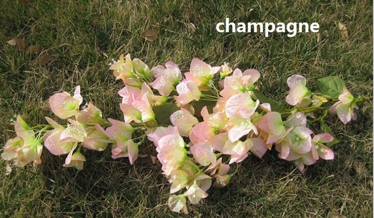 Champagne