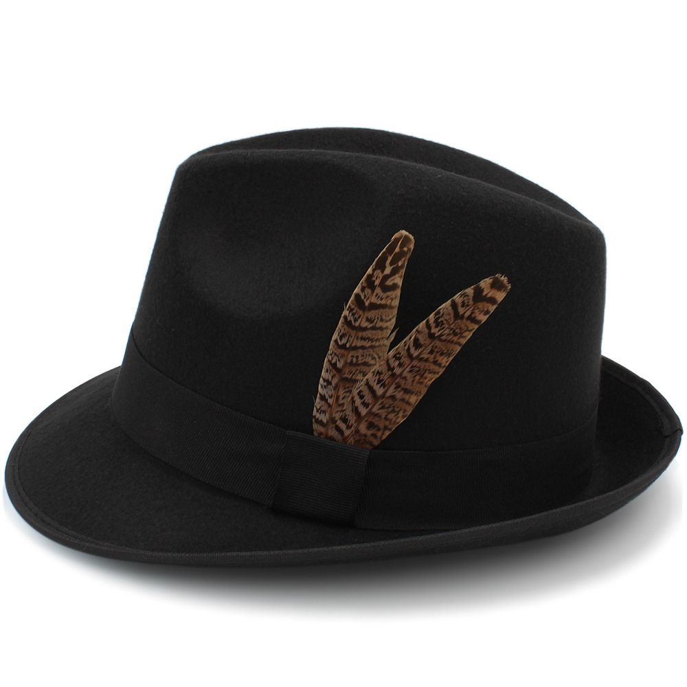 mens fedora hat with feather