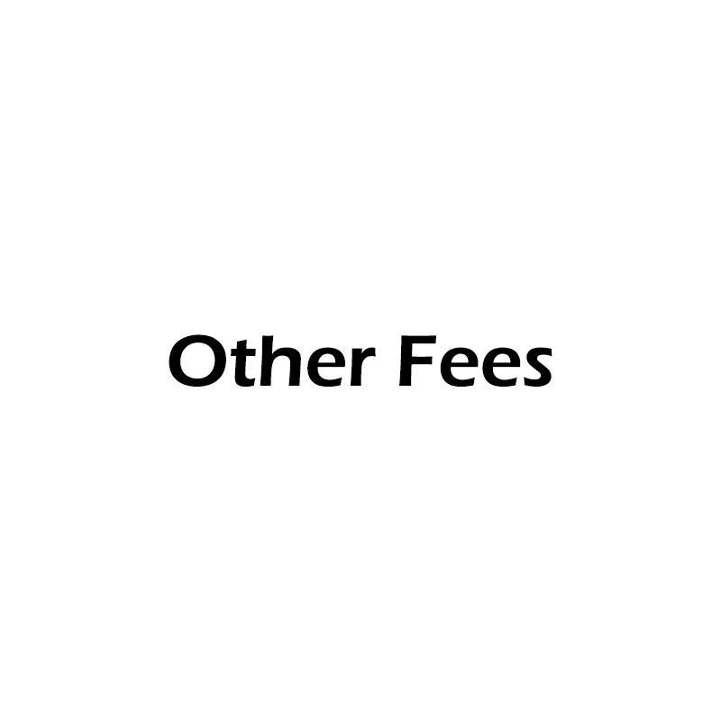 Other fees