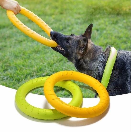 agility toys for dogs