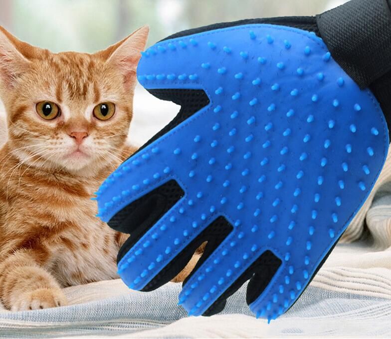 Acheter Gant De Poils Danimaux De Compagnie Peigne Chien Chat Toilettage Gant De Nettoyage Deshedding Gauche Brosse Depilation A La Main Promouvoir La Circulation Sanguine De 0 87 Du Blue Sky001 Dhgate Com Acheter Gant De Poils Danimaux De Compagnie Peigne Chien Chat Toilettage Gant De Nettoyage Deshedding Gauche Brosse Depilation A La Main Promouvoir La Circulation Sanguine De 0 87 Du Blue Sky001 Dhgate Com