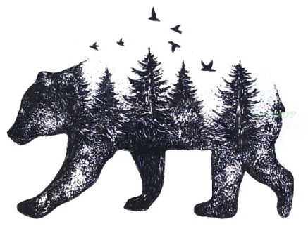 Acheter étanche Tatouage Temporaire Sibérie Forêt Ours Arbre Oiseau Hibou Loup Fausse Baleine Tatoo Flash Sha Tatto Pour Les Femmes Fille Hommes 7 De
