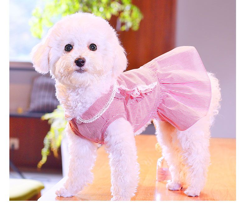 Navidad Ropa Para Mascotas Vestido Pequeño Perro Rosa-l 