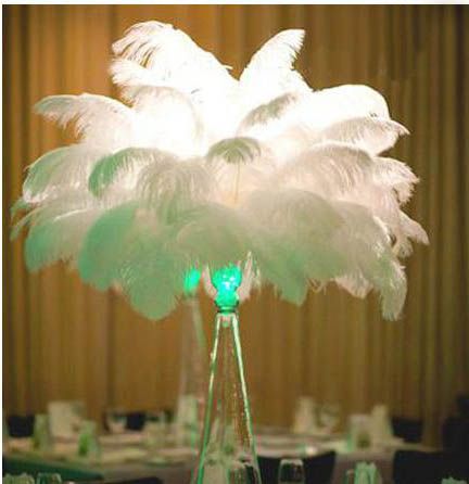 craft ostrich feathers
