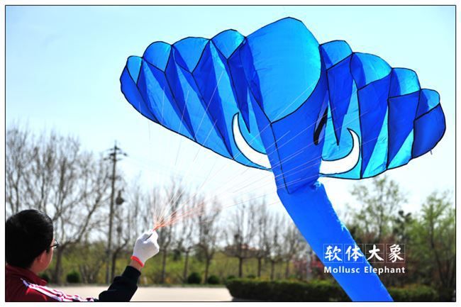 5.2m Blue single Line Stunt The elephant POWER Sport Kite Free Shipping