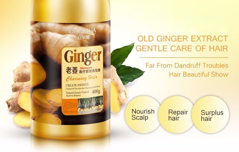 Ginger Shampoo High Quality Plant Extract Oil Control Anti Dandruff