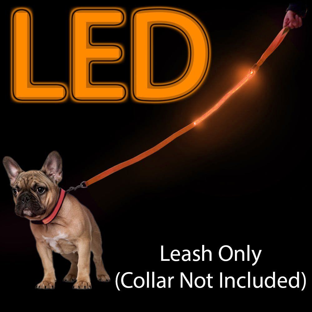 light up dog leash