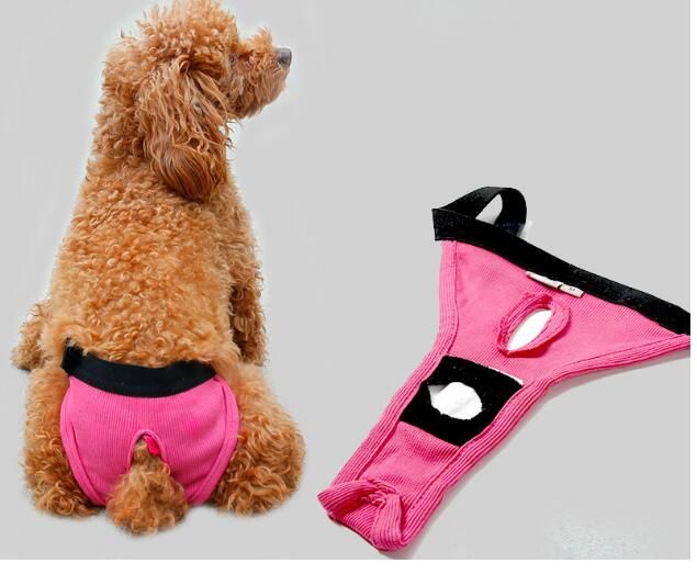 female dog pants
