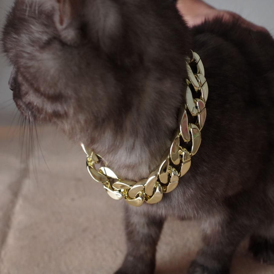 cat collar gold chain