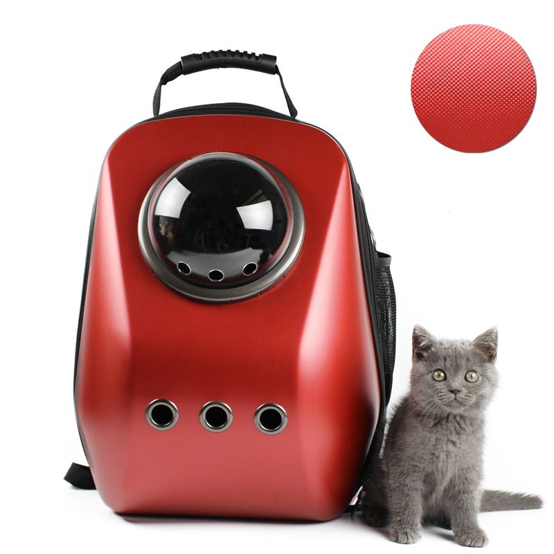 bubble cat carrier