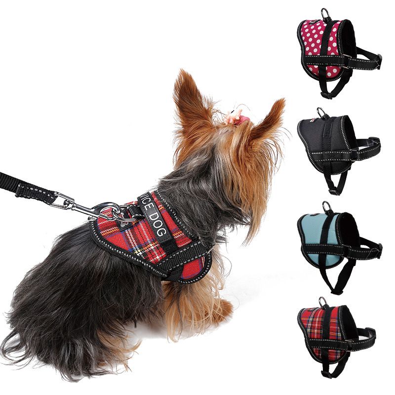 small dog chest harness