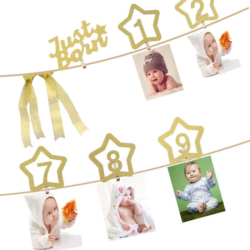 Monthly Milestone Photo banner for... 1st Birthday Glitter Decorations for Girl