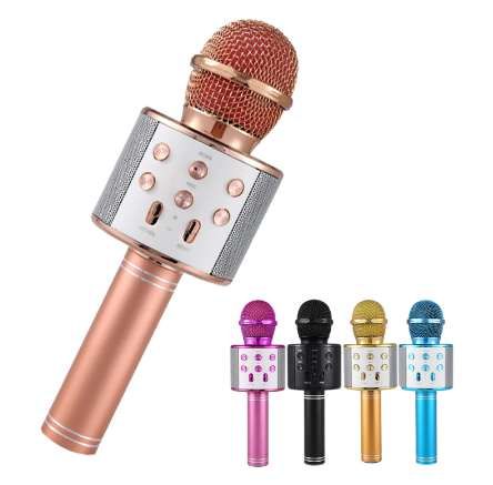 wireless microphone and speaker set