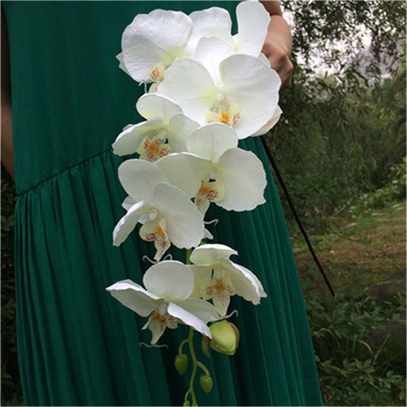 Weiße Farb Orchidee