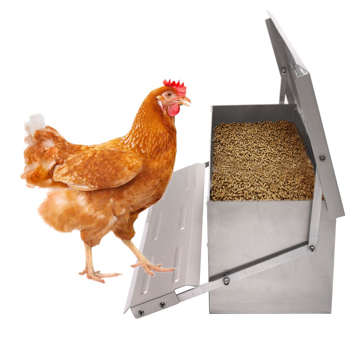 2020 Automatic Chicken Feeder Treadle Self Open Aluminium