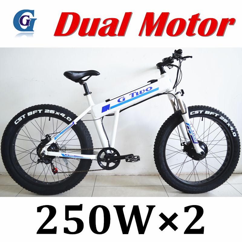 ebike dual motor