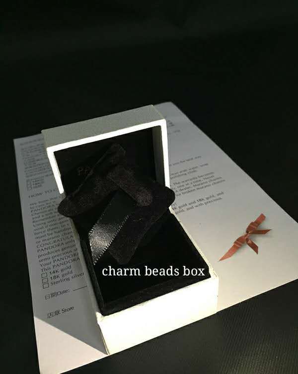 Charm Perlen Box