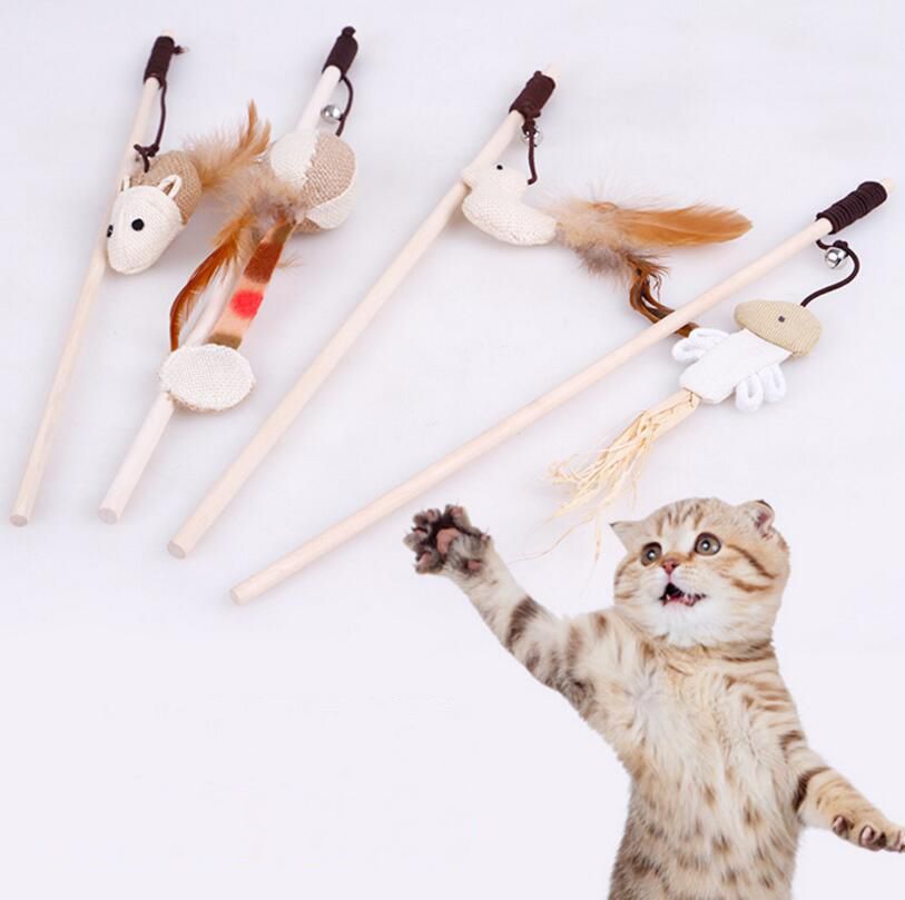 cat toy teaser