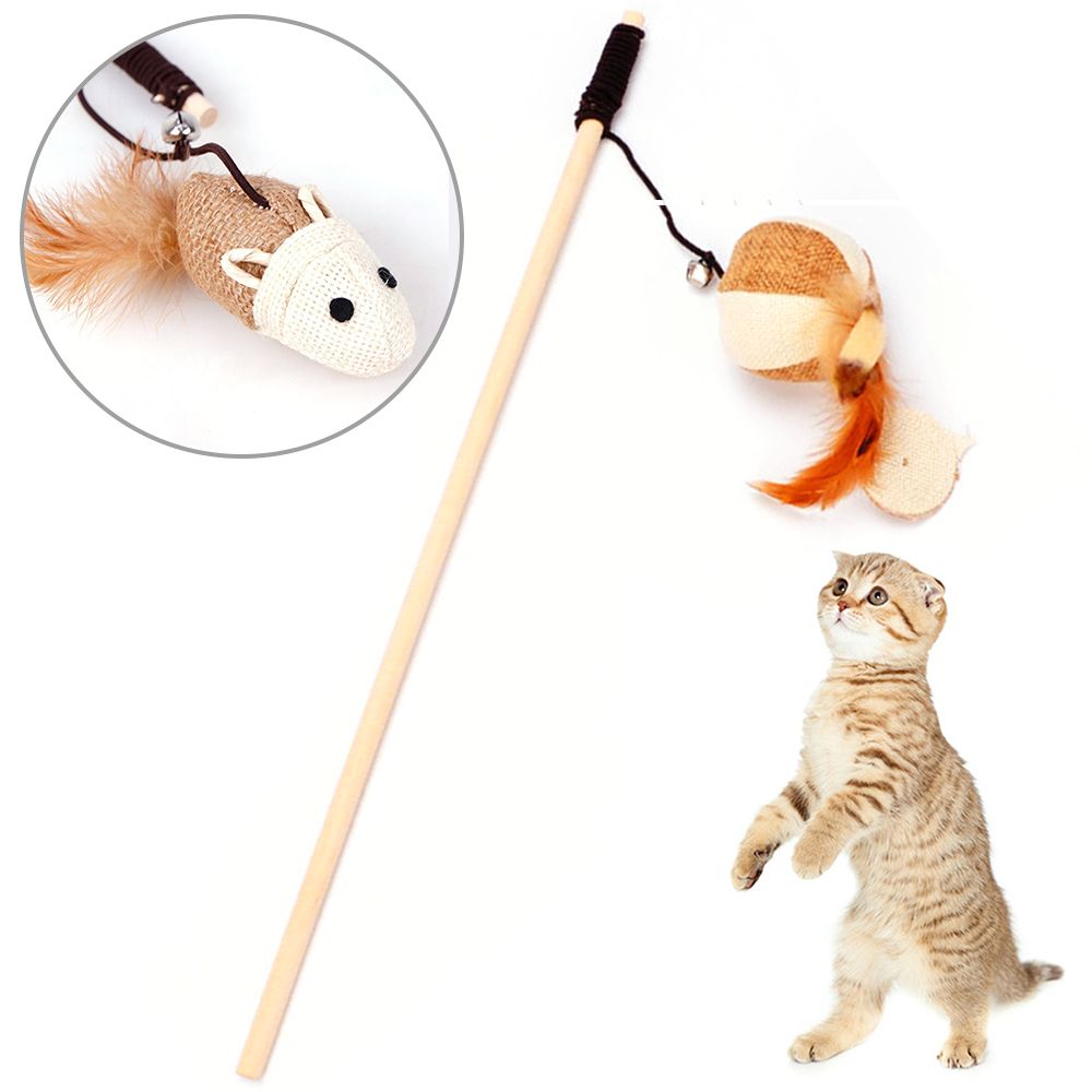 cat string toy